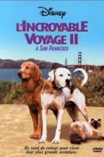 Watch Homeward Bound II Lost in San Francisco Movie4k