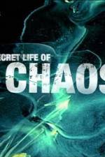 Watch The Secret Life of Chaos Movie4k