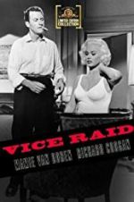 Watch Vice Raid Movie4k