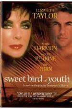 Watch Sweet Bird of Youth Movie4k