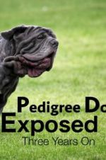 Watch Pedigree Dogs Exposed, Three Years On Movie4k