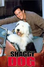 Watch The Shaggy Dog Movie4k