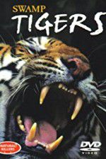 Watch Swamp Tigers Movie4k