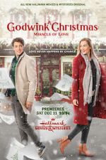 Watch A Godwink Christmas: Miracle of Love Movie4k