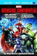Watch Avengers Confidential: Black Widow & Punisher Movie4k