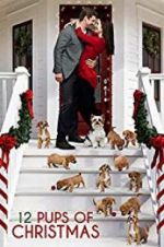 Watch 12 Pups of Christmas Movie4k