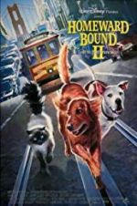 Watch Homeward Bound II: Lost in San Francisco Movie4k