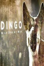 Watch Dingo Wild Dog at War Movie4k