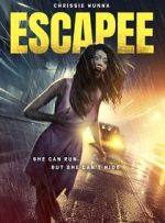 Watch The Escapee Movie4k
