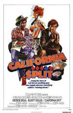 Watch California Split Movie4k