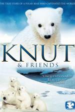 Watch Knut & Friends Movie4k