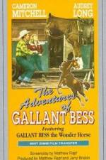 Watch Adventures of Gallant Bess Movie4k