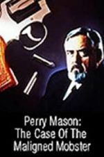 Watch Perry Mason: The Case of the Maligned Mobster Movie4k