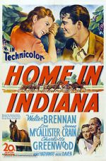 Watch Home in Indiana Movie4k