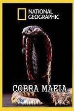 Watch National Geographic Cobra Mafia Movie4k