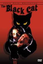 Watch Black Cat Movie4k