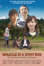 Watch Miracle in Kasama Movie4k