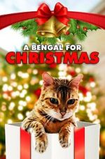 Watch A Bengal for Christmas Movie4k