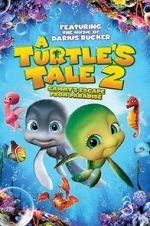 Watch A Turtle\'s Tale 2: Sammy\'s Escape from Paradise Movie4k