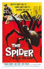 Watch The Spider Movie4k