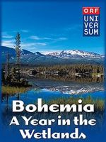 Watch Bohemia: A Year in the Wetlands Movie4k