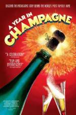 Watch A Year in Champagne Movie4k