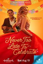 Watch Never Too Late to Celebrate Movie4k