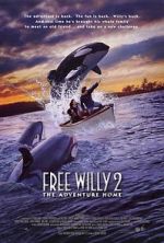 Watch Free Willy 2: The Adventure Home Movie4k