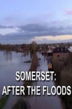 Watch Somerset: After the Floods Movie4k