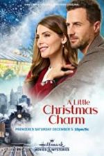 Watch A Little Christmas Charm Movie4k