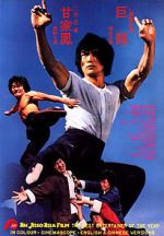 Watch The Dragon\'s Snake Fist Movie4k