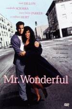 Watch Mr Wonderful Movie4k