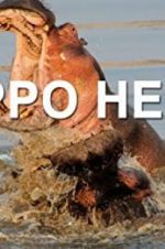 Watch Hippo Hell Movie4k