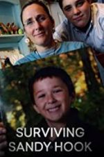 Watch Surviving Sandy Hook Movie4k