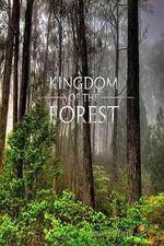 Watch National Geographic Kingdom of the Forest Movie4k