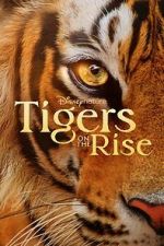 Watch Tigers on the Rise Movie4k