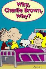 Watch Why Charlie Brown Why Movie4k