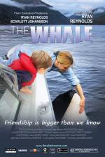 Watch The Whale Movie4k