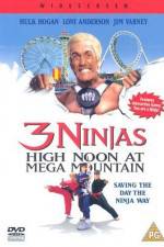 Watch 3 Ninjas High Noon at Mega Mountain Movie4k