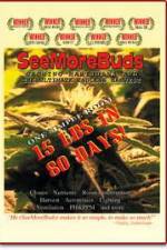 Watch SeeMoreBuds: Vol. 1 Movie4k