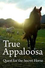 Watch True Appaloosa Movie4k