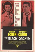 Watch The Black Orchid Movie4k