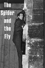 Watch The Spider and the Fly Movie4k