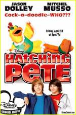 Watch Hatching Pete Movie4k