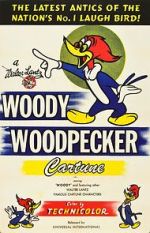 Watch The Woody Woodpecker Polka Movie4k