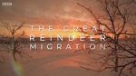 Watch All Aboard! The Great Reindeer Migration Movie4k