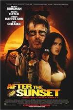 Watch After the Sunset Movie4k