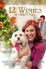 Watch 12 Wishes of Christmas Movie4k