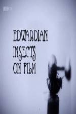 Watch Edwardian Insects on Film Movie4k