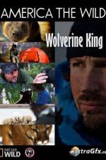 Watch National Geographic Wild America the Wild Wolverine King Movie4k